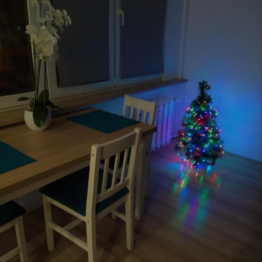 Apartament Torun Dreams 외부 사진